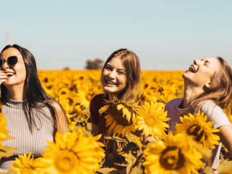 Menemukan Ketenteraman Melalui Kebiasaan Sederhana Sehari-Hari